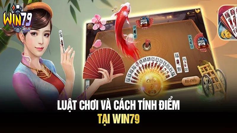 Nắm bắt thông tin về bộ bài chắn