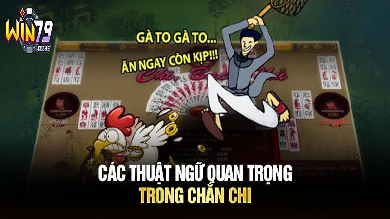 Hướng dẫn cách chơi bài chắn